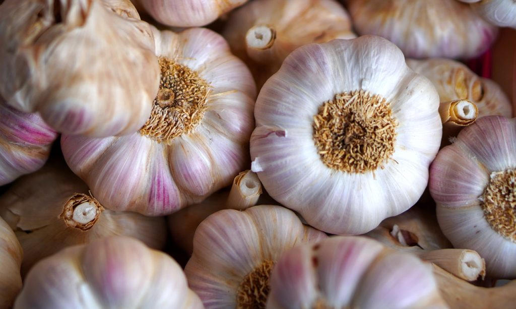 garlic, ripe, fresh-4523460.jpg